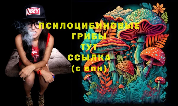 ешки Армянск