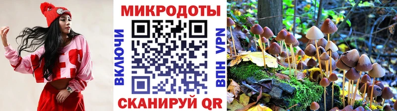 купить закладку  Бутурлиновка  Псилоцибиновые грибы мицелий 